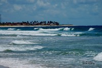 /album/brasil-2008/dsc-0089-jpg2/
