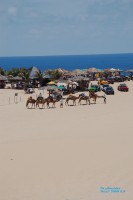 /album/brasil-2008/dsc-0143-jpg1/