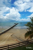 /album/brasil-2008/dsc-0776-jpg1/