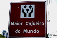 /album/brasil-2008/dsc-0803-jpg1/